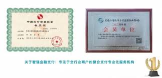 智强金融店来宝: 一站式支付解决方案助力商户腾飞-顶点金融网