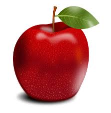 Apple Apple Tree Fruits Fruit PNG | Picpng