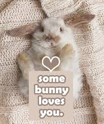 Your Packetful Of Happy Animal Quotes Some Bunny Loves You Bunny