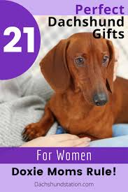 ： does not apply： material: 50 Dachshund Home Decor Ideas In 2020 Dachshund Dachshund Gifts Dachshund Decor