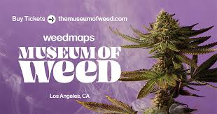Weedmaps Museum Of Weed Buy Tickets Find Information