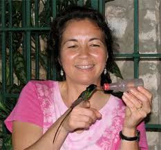 thebahamasweekly.com