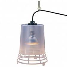 We have a selection of reptile lamps and lamp holders that will keep your reptile warm and healthy all year long. Heat Lamps Lighting Equipment Barn Supplies Products