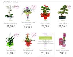 No se trata solamente de colocar una maceta y listo. Regala Plantas Naturales Regala Vida