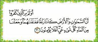 Ya, namanya pohon pucuk merah, merupakan salah satu tanaman hias pucuk daunnya (daun muda) berwarna merah, karena itu dinamai pohon pucuk merah. Doa Rawatan Mati Pucuk Dan Urutan Tradisional Penang Facebook