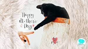 Maybe you would like to learn more about one of these? A Purrfect Mother S Day For Cat Moms Cat Wisdom 101 Everything Feline Since 2011