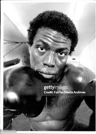 4,874 Rice Box Stock Photos, High-Res Pictures, and Images