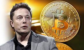 Elon musk might reconsider his stance on bitcoin mining,. Elon Musk Reveals Cryptocurrency Holdings Spotlight Altcoin Buzz