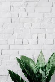 Maybe you would like to learn more about one of these? Download Premium Psd Of Bird S Nest Fern On White Brick Wall 556181 Brick Wallpaper Iphone White Brick Wallpaper White Brick Walls