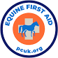 Children's Pony Club Badge Session – Equine First Aid event image
