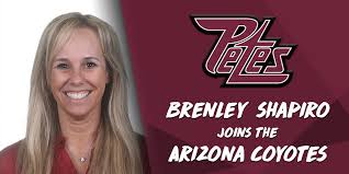 Brenley Shapiro Joins Arizona Coyotes As Mental Performance