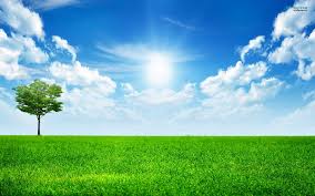 Image result for sunny day