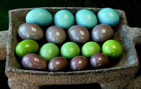 Exotic Bird Eggs For Sale In Usa Tinamou Eggs Metallic Looking Eggs Birds Bird