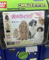 Wigs For Dogs Japan Vending Machines In Japan Japanese Dogs