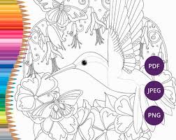 Thousands of printable coloring pages, for kids and adults! Hummingbird Coloring Pages Printable Adult Nature Coloring Etsy