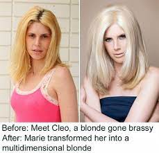 Behind The Chair Articles Brassy Hair Hair Makeover Hair Techniques