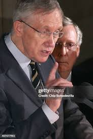 170 Anne Frank Tree Stock Photos, High-Res Pictures, and Images