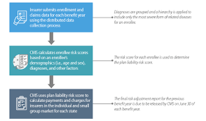 The Patient Protection And Affordable Care Acts Acas