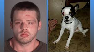 Pasco man charged with choking woman, Chihuahua