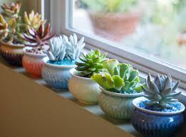 See more ideas about wall plant holder, plant holders, plant wall. Succulent Windowsill Pots Diy Debra Lee Baldwin