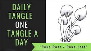 I don't really like poke leaf, but i prefer it to poke root. Daily Tangle Poke Root Und Poke Leaf How To Draw Youtube