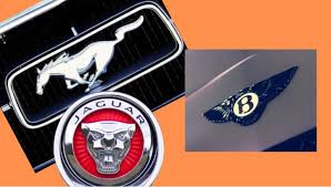 Purpose of animal character in 37 popular brands logos. Expensive Car Logos 2019