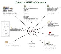 While the research on the topic has offered hope, there are still many questions that need to be answered. Copper Peptide Studies On Skin Renewal Wound Healing And Hair Growth Wound Healing Reverse Aging Skin Copper Peptides