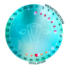Peut on tomber enceinte pendant les règles? Conception Peut On Tomber Enceinte Pendant Ses Regles