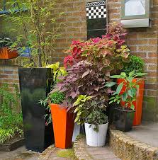 Vegetables that prefer more sunlight but can grow in shade will grow slower. Garden Design East Facing Broadfork