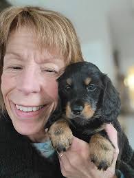 Donna's House of Dachshunds