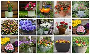 You have any kind of bucket at your home, you can start right now. Container Gardening Ideas For Beginners