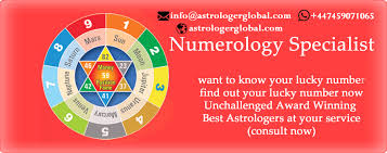 Best Indian Astrologer Services Poland Vedic Astrologer