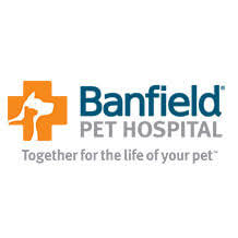 We offer you to download wallpapers banfield fc, golden logo, argentine primera division, green metal background, football, ca banfield, argentinian football club, banfield logo, soccer, argentina, club atletico banfield from a set of categories sport necessary for the resolution of the monitor you for free and without registration. Banfield Pet Hospital Village At Leesburg