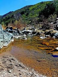 Visit one of our locations today. Cave Creek Trail 4 Hiking Trail Cave Creek Arizona