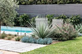 Landscaping Byron Bay Northern Rivers Landscaper Nsw Fig Landscapes Australian Garden Design House Landscape Australian Native Garden