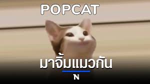 Enter regular events throughout the year where you can earn unique rare cats and special prizes! 544xeabqoixnum