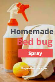 Pin On Guardianschoice Pest Control
