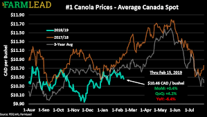 soybean canola prices to rebound off the lows farmlead