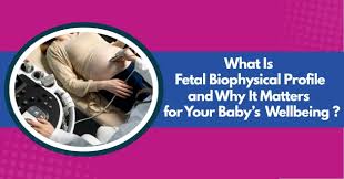 Image result for Biophysical Profile