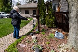 Cvs.com® is not available to customers or patients who are located outside of the united states or u.s. As Gardens Are Planted Experts Urge Use Of Michigan Native Plants