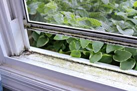 Maybe you would like to learn more about one of these? How To Clean Dirty Window Tracks Mom 4 Real