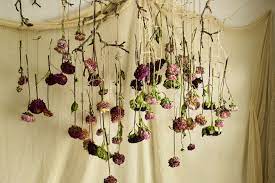 Bex Partridge S Beautiful Dried Flower