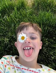 Summer Forest Paintings