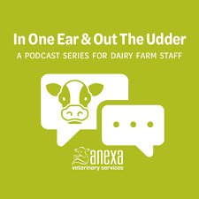 Talking Bull: Tops tips for managing the bulls during natural mating –  Anexa Veterinary Services In One Ear & Out The Udder Podcast – Podcast –  Podtail