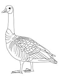 The coloring page is printable and can be used in the classroom or at home. Goose Coloring Pages Download And Print Goose Coloring Pages