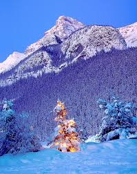We did not find results for: Rocky Mountain Christmas Tree Winter Lake Louise In Canadian Rockies Alberta Canada T Decorating With Christmas Lights Christmas Time Is Here Rocky Mountains