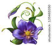 Realistic African Violet Tattoo Done By Johnny Tattoo In Vilseck Germany Violet Tattoo Represents Violet Tattoo Violet Flower Tattoos Birth Flower Tattoos