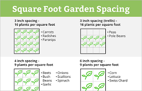 Notice that each is divided into 4 planting areas. How To Grow Eggplant In A Square Foot Garden Free Chart