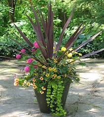 Container Garden Thrillerfiller Spiller Concept When It Comes To Container Gardening You Dont Have To Container Flowers Container Gardening Container Plants