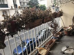 Home Staging Puteaux Beaux Volumes Avec Balcon En 2020 Bien Immobilier A Vendre Premiers Sons
